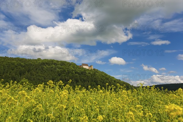 Weitenburg Castle, romantic hotel, historic building, residential castle in various architectural styles, Renaissance, Baroque, Neo-Gothic, cloudy atmosphere, rape field in bloom, Starzach, Neckar Valley, Baden-Württemberg, Germany, Europe