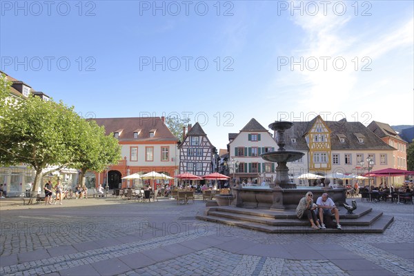 Market square with market fountain in Neustadt an der Weinstraße, Rhineland-Palatinate, Germany, Europe