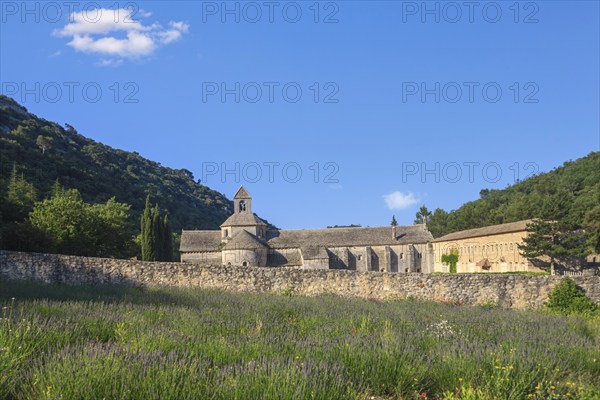 Abbey Notre-Dame de Sénanque, Sénanque Monastery, near Gordes, Provence, Provence-Alpes-Côte dAzur, Southern France, France, Europe