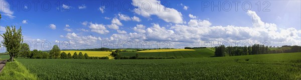 Fields near Lommatzsch