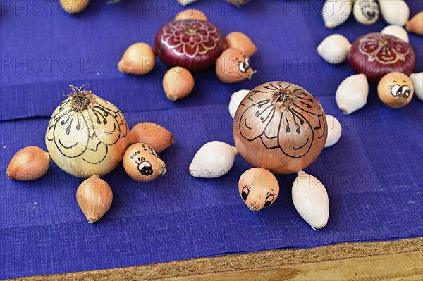Market stall with onions in the shape of turtles, Onion market, Bern, Canton of Bern, Switzerland, Europe