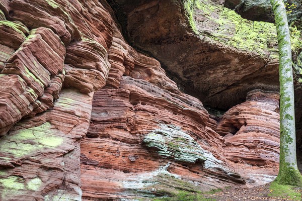 Old castle rock, red sandstone rock formation, natural and cultural monument, Brechenberg near Eppenbrunn, Palatinate Forest, Rhineland-Palatinate, Germany, Europe
