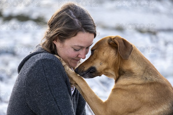 Young woman with her dog, intimate relationship, love of animals, Upper Bavaria, Bavaria, Germany, Europe