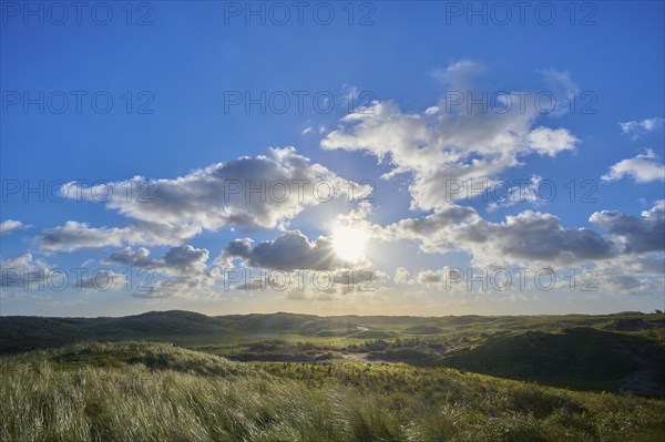 Bicycle path, sand dune, clouds, Amsterdam water pipe dunes, morning, Zandvoort, North Sea, North Holland, Netherlands