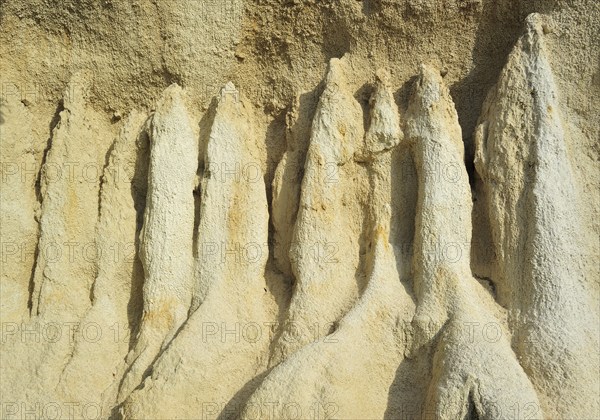 Strange rock formations created by water erosion at the Orgues d'Ille-sur-Têt in the Pyrénées-Orientales, Pyrenees, France, Europe