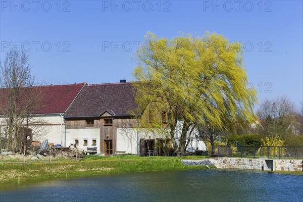 Village view of Nebelschütz in Lusatia