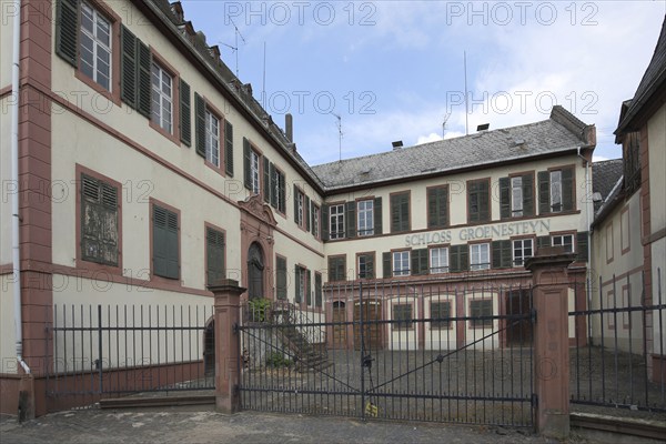 Courtyard of Ritter von Groenesteyn Castle, Rüdesheim, Rheingau, Taunus, Hesse, Upper, Middle Rhine Valley, Germany, Europe
