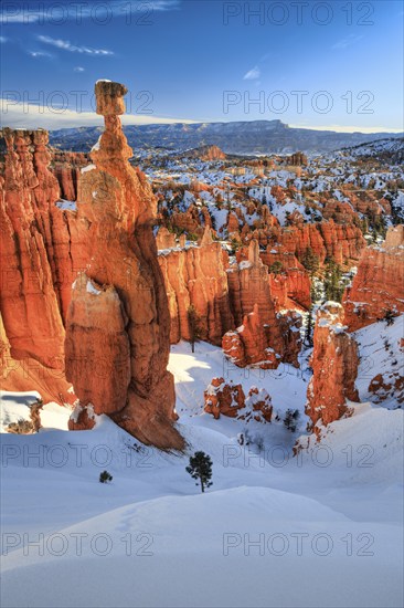 Bryce Canyon in winter, view from Sunset Point, limestone hoodoos, Bryce Canyon National Park, Utah, USA, North America