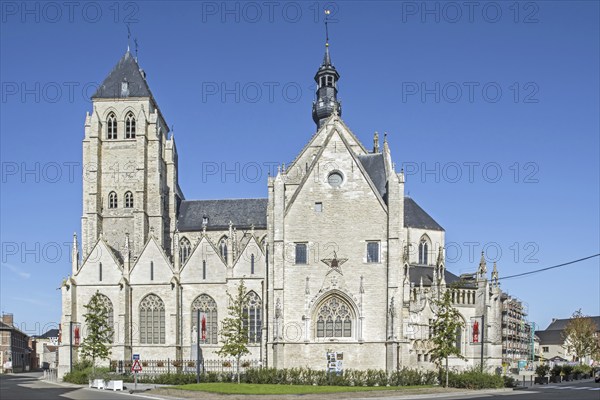 13th, 16th century Gothic medieval Saint Leonard's Church, Sint-Leonarduskerk in the city Zoutleeuw, province of Flemish Brabant, Flanders, Belgium, Europe