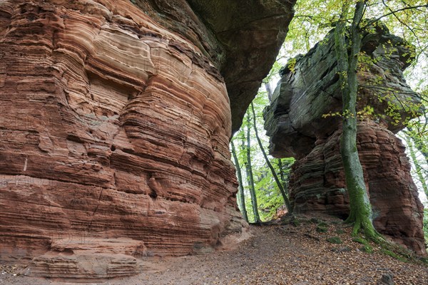 Old castle rock, red sandstone rock formation, natural and cultural monument, Brechenberg near Eppenbrunn, Palatinate Forest, Rhineland-Palatinate, Germany, Europe