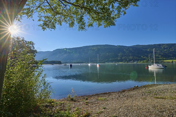 Lake shore, sailboats, tree, sun, morning, summer, Steindorf am Lake Ossiach, Lake Ossiach, Carinthia, Austria, Europe