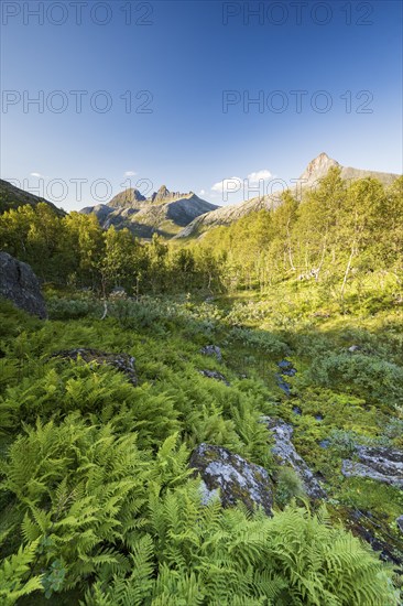 View of Østerdalen valley, Straumdalstinden mountain, Helgeland coast near Jekt, Rødøy, Nordland, Norway, Europe