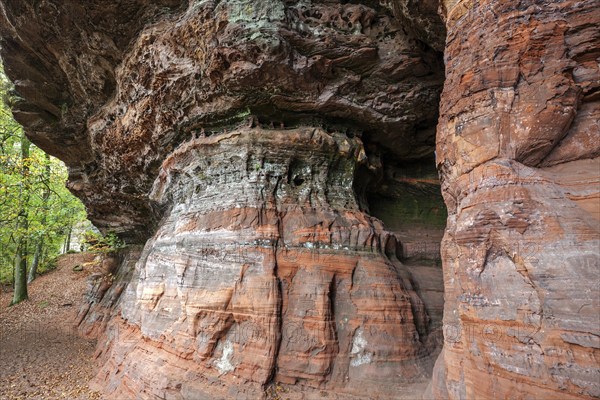 Old castle rock, red sandstone rock formation, natural and cultural monument, Brechenberg near Eppenbrunn, Palatinate Forest, Rhineland-Palatinate, Germany, Europe