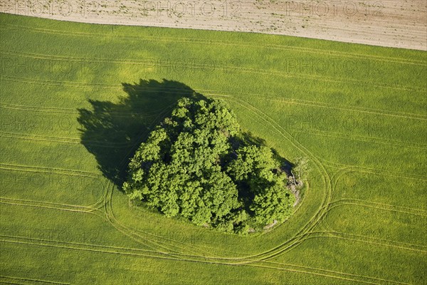 Aerial photo field