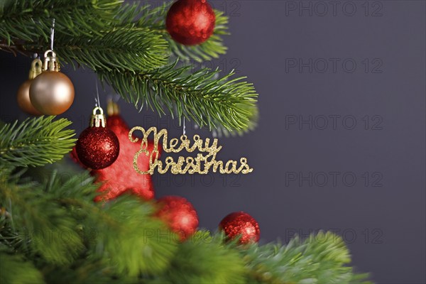 Festive golden Christmas tree ornament with text 'Merry Christmas' hanging from fir tree branch with red round and star shaped baubles on dark background