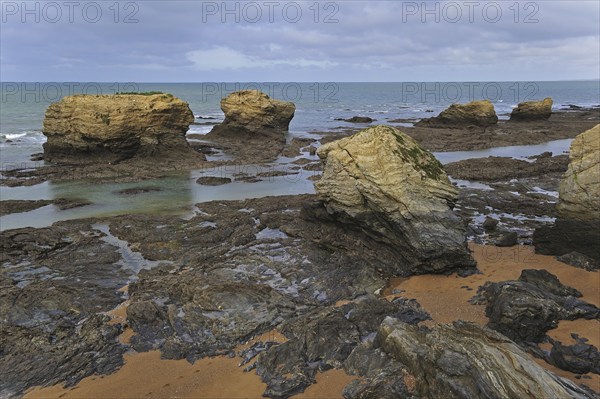 Sea stacks at the Plage des Cinq Pineaux at low tide, Saint-Hilaire-de-Riez, La Vendée, Pays de la Loire, France, Europe