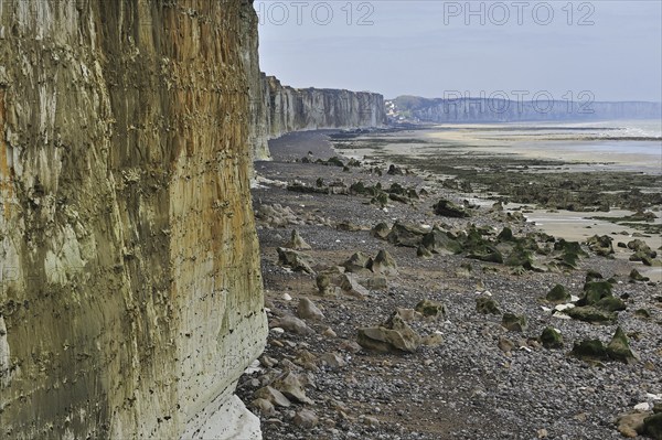 Chalk cliffs rising up from pebble beach at Sotteville-sur-Mer, Normandy, France, Europe