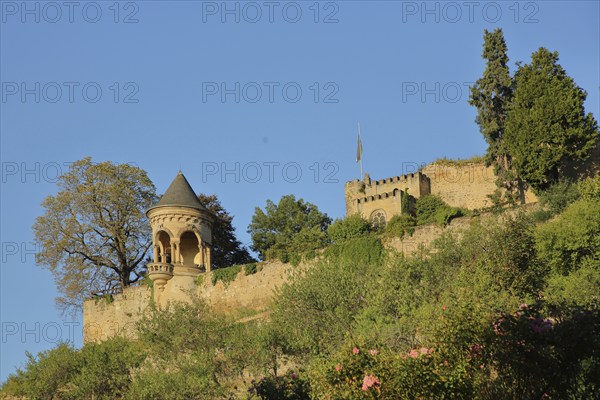 Winzingen Castle and Haardt Castle, Neustadt an der Weinstraße, Rhineland-Palatinate, Germany, Europe