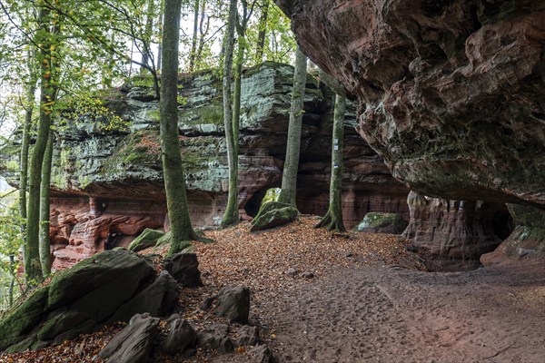 Old castle rock, red sandstone rock formation, natural and cultural monument, Brechenberg near Eppenbrunn, Palatinate Forest, Rhineland-Palatinate, Germany, Europe