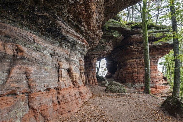 Old castle rock, red sandstone rock formation, natural and cultural monument, Brechenberg near Eppenbrunn, Palatinate Forest, Rhineland-Palatinate, Germany, Europe