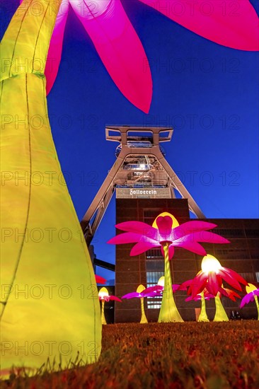 Celebrations to mark the 25th anniversary of the Route of Industrial Heritage in the Ruhr region, festivals lasting several days, highlight is the Extraschicht, the long night of industrial heritage, here Illuminating flowers at the Zeche Zollverein in Essen, double trestle winding tower shaft 12, North Rhine-Westphalia, Germany, Europe