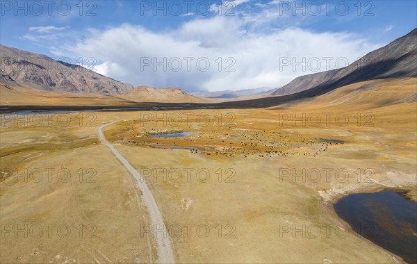 Aerial view, Burkhan mountain valley with a herd of sheep, barren dramatic mountain landscape, Terskey Ala-Too, Tien Shan, Issyk Kul province, Kyrgyzstan, Asia