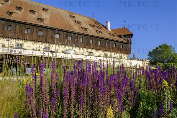 Council or council building, Constance on Lake Constance, Baden-Württemberg, Germany, Europe