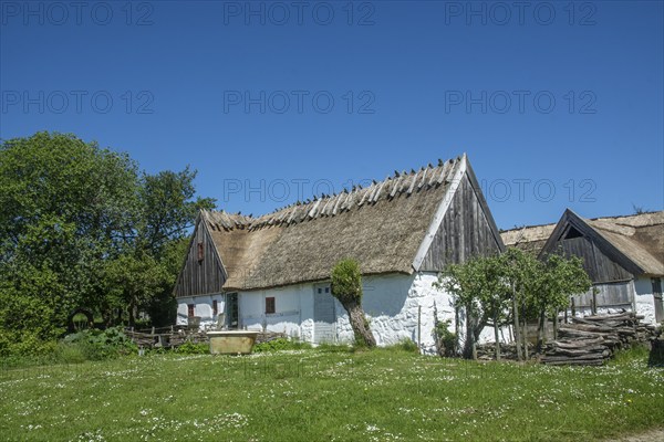 Typical old farmhouse in southern Sweden, Stenberget, Skurup Municipality, Skåne County, Sweden, Scandinavia, Europe