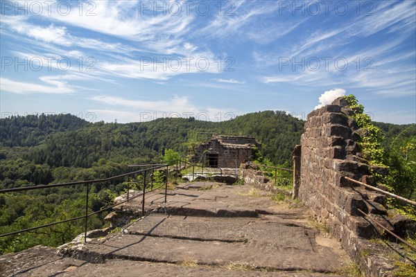 Wasigenstein Castle (Alsace, France) . The castle ruins are the remains of a medieval rock castle in the Palatinate Forest-North Vosges biosphere reserve