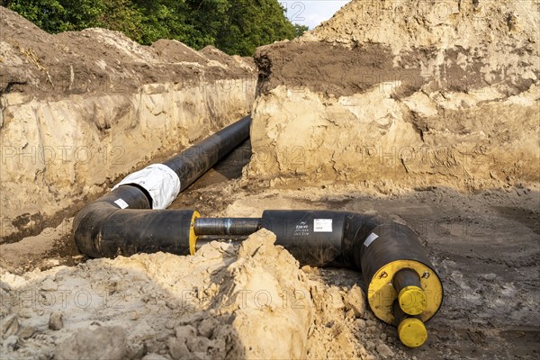 Laying of district heating pipes, next to a field, with maize, the district heating comes from a biogas plant and is fed directly into households in the neighbourhood, private provider, near Delbrück, North Rhine-Westphalia, Germany, Europe