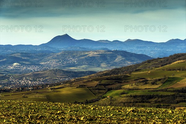 View on the chain of Domes, Natural regional park of Volcans d'Auvergne, UNESCO World Heritage, Puy de Dome departement, Auvergne-Rhone-Alpes, France, Europe