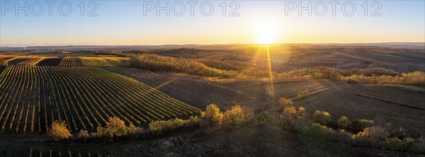 Aerial view, Autumn landscape with vineyards, Pulkautal, Weinviertel, Lower Austria, Austria, Europe