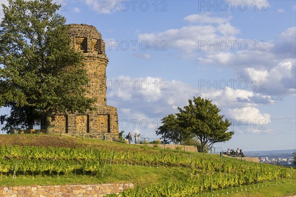The Bismarck Tower in Radebeul, also known as the Bismarck Column, is one of around 145 Bismarck Towers still in existence in Germany in honour of Prince Otto von Bismarck (1815-1898) . The Radebeul tower was individually designed by Wilhelm Kreis, built by master builder Alfred Große from Kötzschenbroda and inaugurated on 2 September 1907. It has a height of 18 metres and can be climbed via a modern staircase, Radebeul Weinhänge, Radebeul, Saxony, Germany, Europe