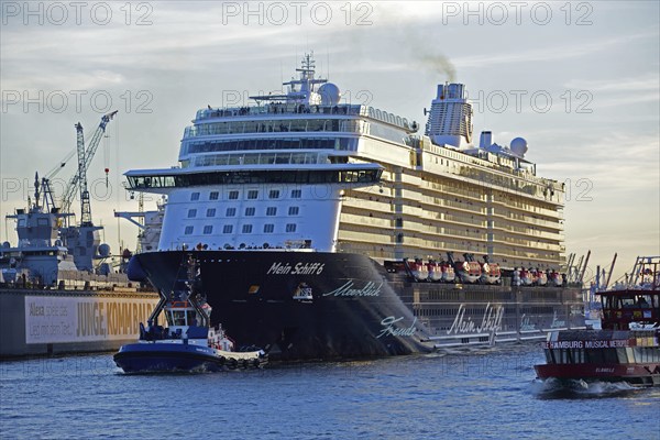Europe, Germany, Hamburg, Elbe, passenger ship, Mein Schiff 6, arriving, left floating dock, evening light, Hamburg, Hamburg, Federal Republic of Germany, Europe