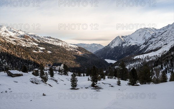 Zufallhütte mountain hut, morning light in a snow-covered mountain landscape, Val Martello, Ortler Alps, Venosta Valley, Italy, Europe