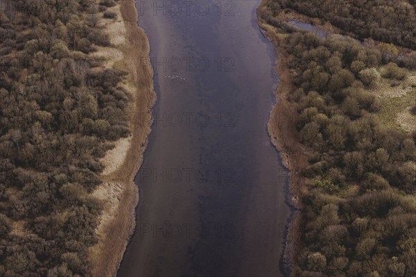 Elbe feeder line, photographed near Marne, 25/03/2024