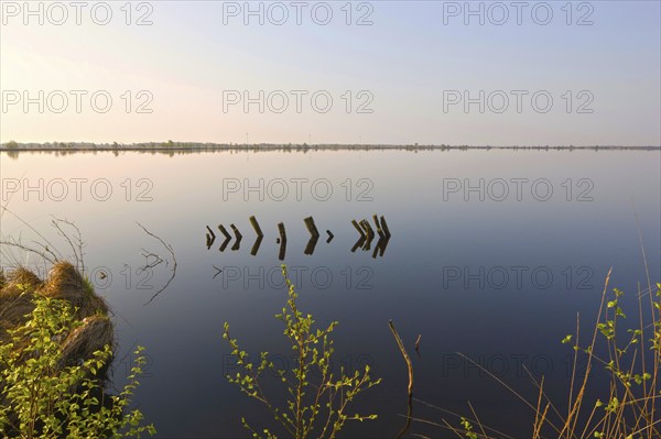 Eternal Sea, nature reserve, East Frisia, Germany, Europe