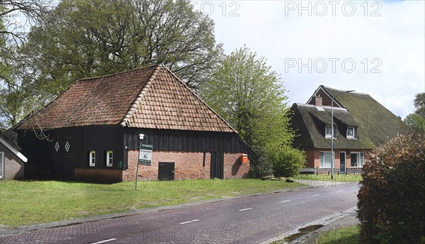 NL, Eesergroen: Spring characterises the landscape, towns and people in the province of Drenthe in the Netherlands. The picturesque village of Ees in Drenthe. NL, Eesergroen: Spring shapes the landscape, cities and people in the province of Drenthe in the Netherlands