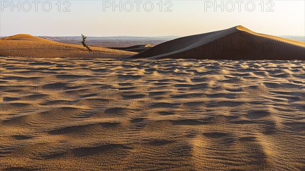 Sand structure formed by the wind, in the Rub al Khali desert, Dhofar province, Arabian Peninsula, Sultanate of Oman