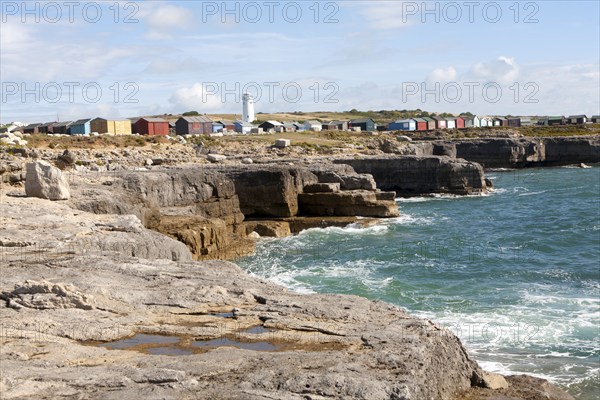Old white lighthouse now a bird observatory and beach huts on the coast at Portland Bill, Isle of Portland, Dorset, England, United Kingdom, Europe