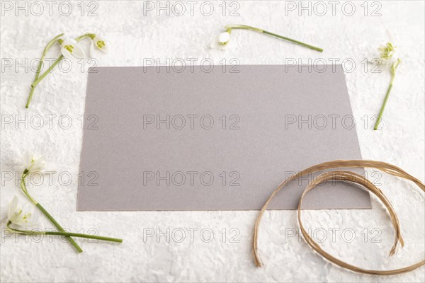 Gray paper sheet mockup with spring snowdrop galanthus flowers on gray concrete background. Blank, business card, side view, copy space, still life. spring concept