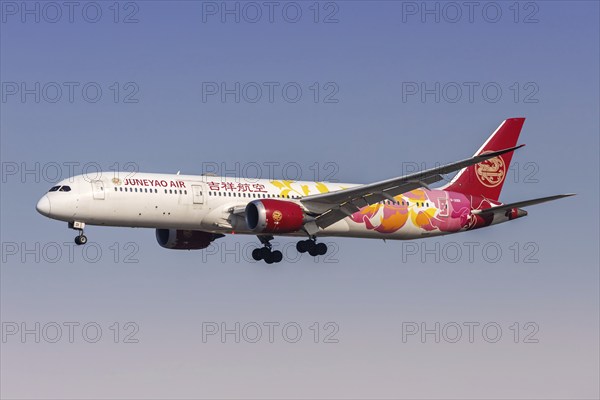 A Boeing 787-9 Dreamliner aircraft of Juneyao Air with the registration number B-20D1 at Hongqiao Airport (SHA) in Shanghai, China, Asia