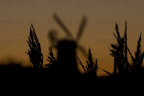 Windmill silhouette at sunset with a red sky and reeds in the foreground, Cley-next-to-the-sea, Norfolk, England, United Kingdom, Europe