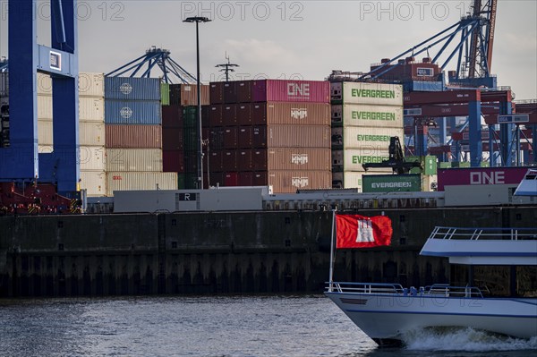 Excursion boat, harbour tour, on the Elbe, in front of the Burchardkai Container Terminal, Hamburg, Germany, Europe