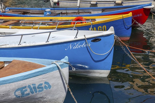 Colourful fishing boats, Malcesine, Lake Garda, Province of Verona, Italy, Europe