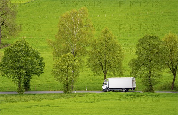 Lorry on a country road, green fields, meadows, trees line the 2-lane road, spring, near Schwelm, North Rhine-Westphalia, Germany, Europe