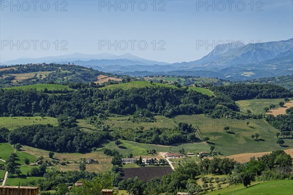 Landscape near San Ginesio in the Marche region with the mountains of the Monti Sibillini National Park in the background. San Ginesio, Macerata, Marche, Italy, Southern Europe, Europe