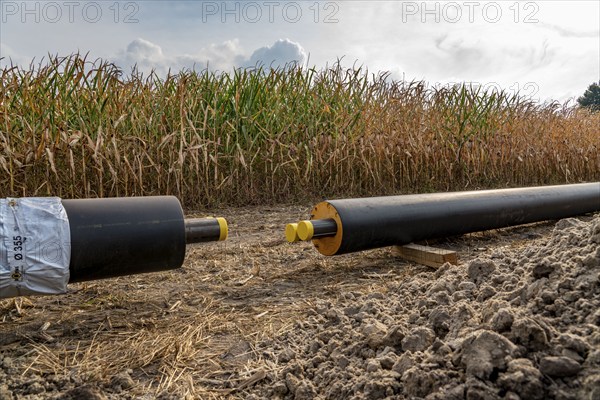 Laying of district heating pipes, next to a field, with maize, the district heating comes from a biogas plant and is fed directly into households in the neighbourhood, private provider, near Delbrück, North Rhine-Westphalia, Germany, Europe
