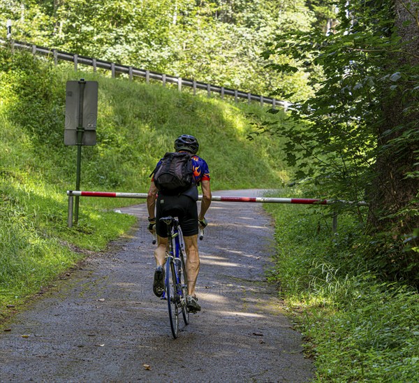 Cyclist on a circular route on Lake Tegernsee, Bavaria, Germany, Europe