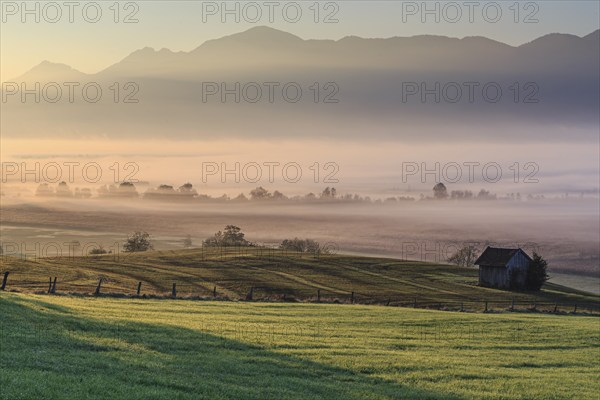 Foggy mood, morning light, hut, manure in a meadow, Murnauer moss, Alpine foothills, Bavaria, Germany, Europe